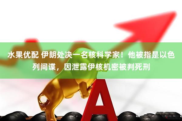 水果优配 伊朗处决一名核科学家！他被指是以色列间谍，因泄露伊核机密被判死刑