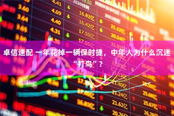 卓信速配 一年花掉一辆保时捷，中年人为什么沉迷“打鸟”？