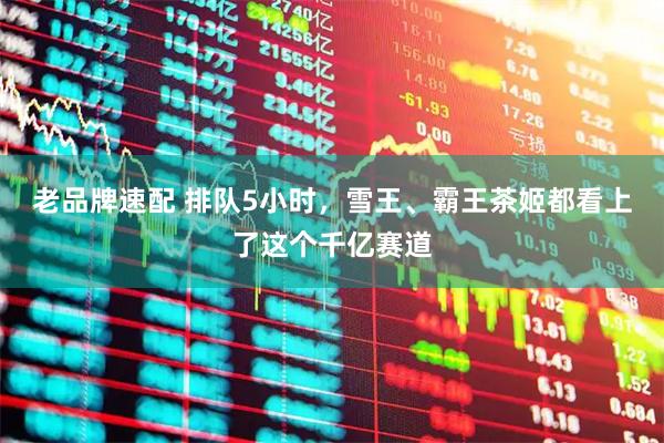 老品牌速配 排队5小时，雪王、霸王茶姬都看上了这个千亿赛道